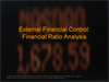fin_financialcontrol.ppt (0,2M)