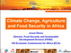 iab_africa.ppt (1,1M)