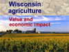 iab_wisconsin.ppt (1,9M)