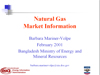 icd_natgas.ppt (0,5M)