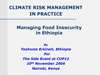 iij_ethiopia.ppt (0,1M)